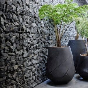 Indigenus Bhaca Planters