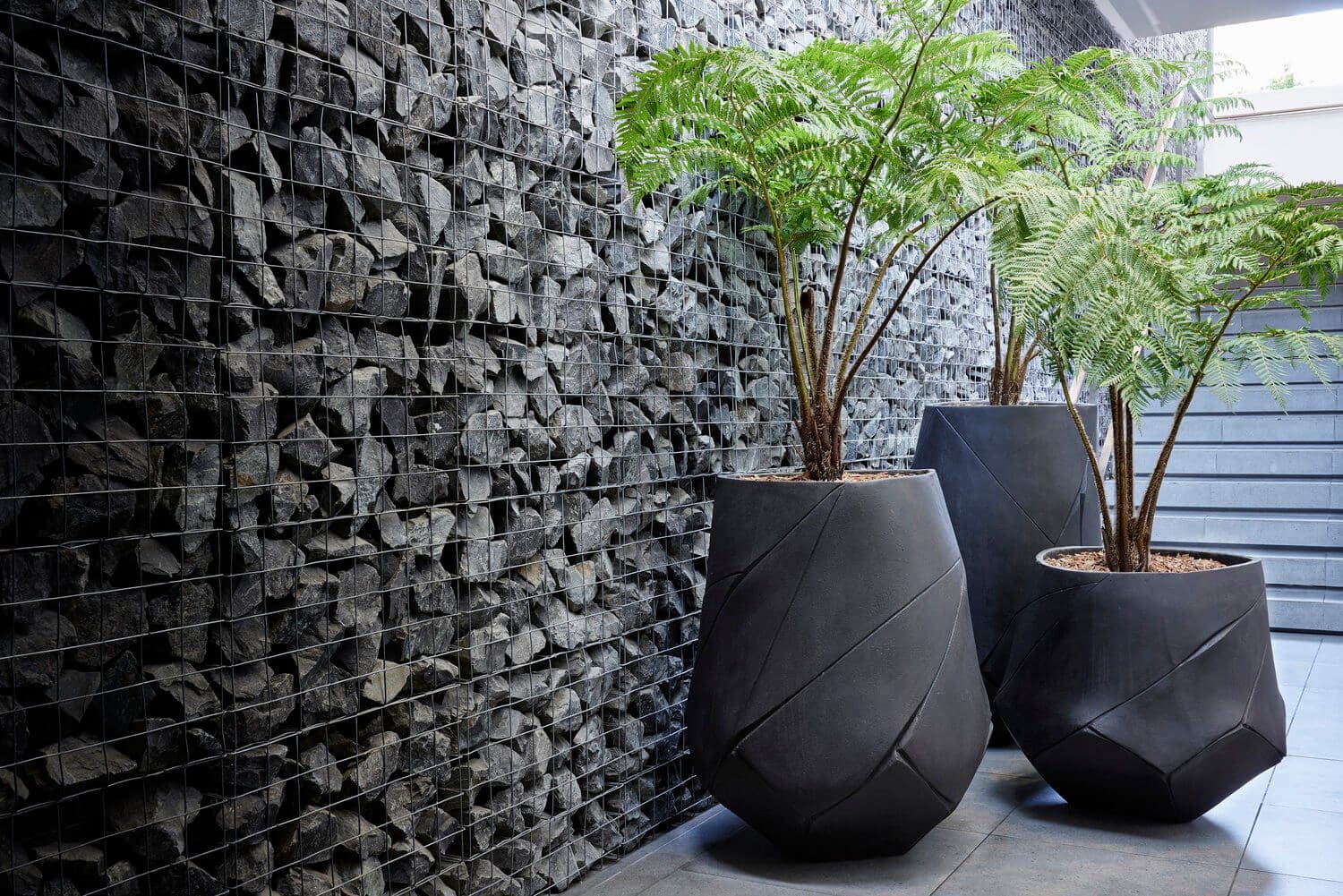 Indigenus Bhaca Planters Indigenus Bhaca Planters