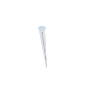 Royal Botania Umbrella Bases Zinc Plate Steel Spike