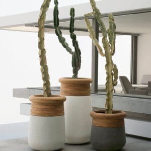Indigenus Soma Planter