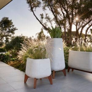 Indigenus Terra Planters