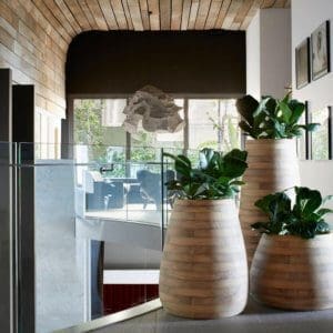 Indigenus Tuber Planters