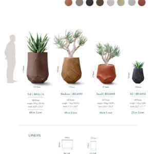 Indigenus Bhaca Planters