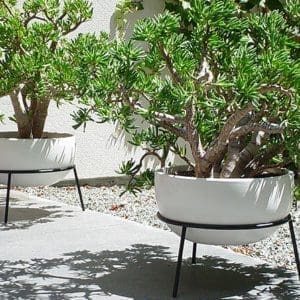 Architectural Pottery FXs with Accessory Stands