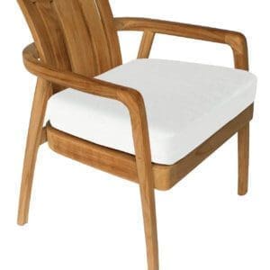 Henry Hall Mariposa Natalia Lounge Chair With Cushion Set