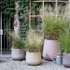 Serralunga Memory Pot