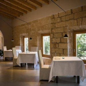 Vibia North Pendant Lamp