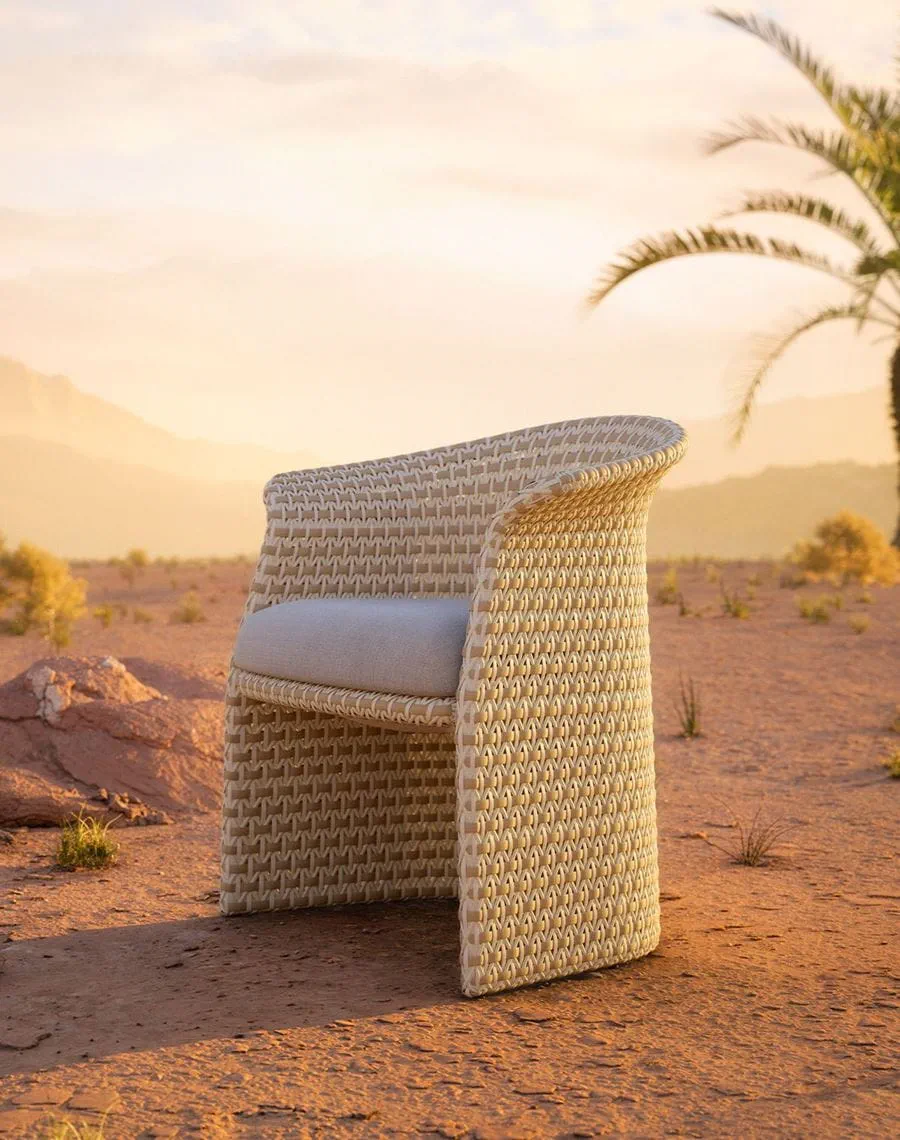 Dedon FLLAIR Dining Armchair Dedon FLLAIR Dining Armchair