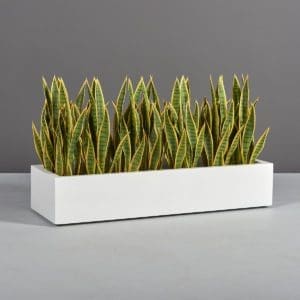 Bonn Low Rectangular Planter