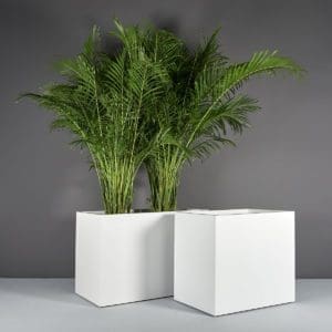 Brisbane Wide Rectangular Planter