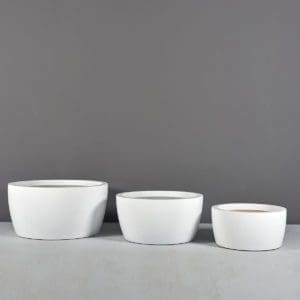 Casablanca Bowl Planter