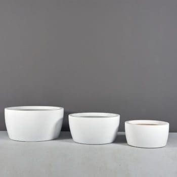 Casablanca Bowl Planter Casablanca Bowl Planter