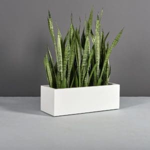 Kiel Low Rectangle Planter