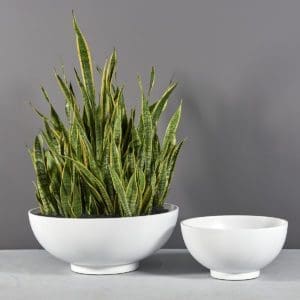 Marseille Bowl Planter