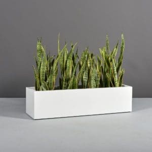 Montserrat Rectangular Planter