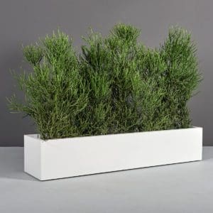 Narbonne Long Rectangular Planter