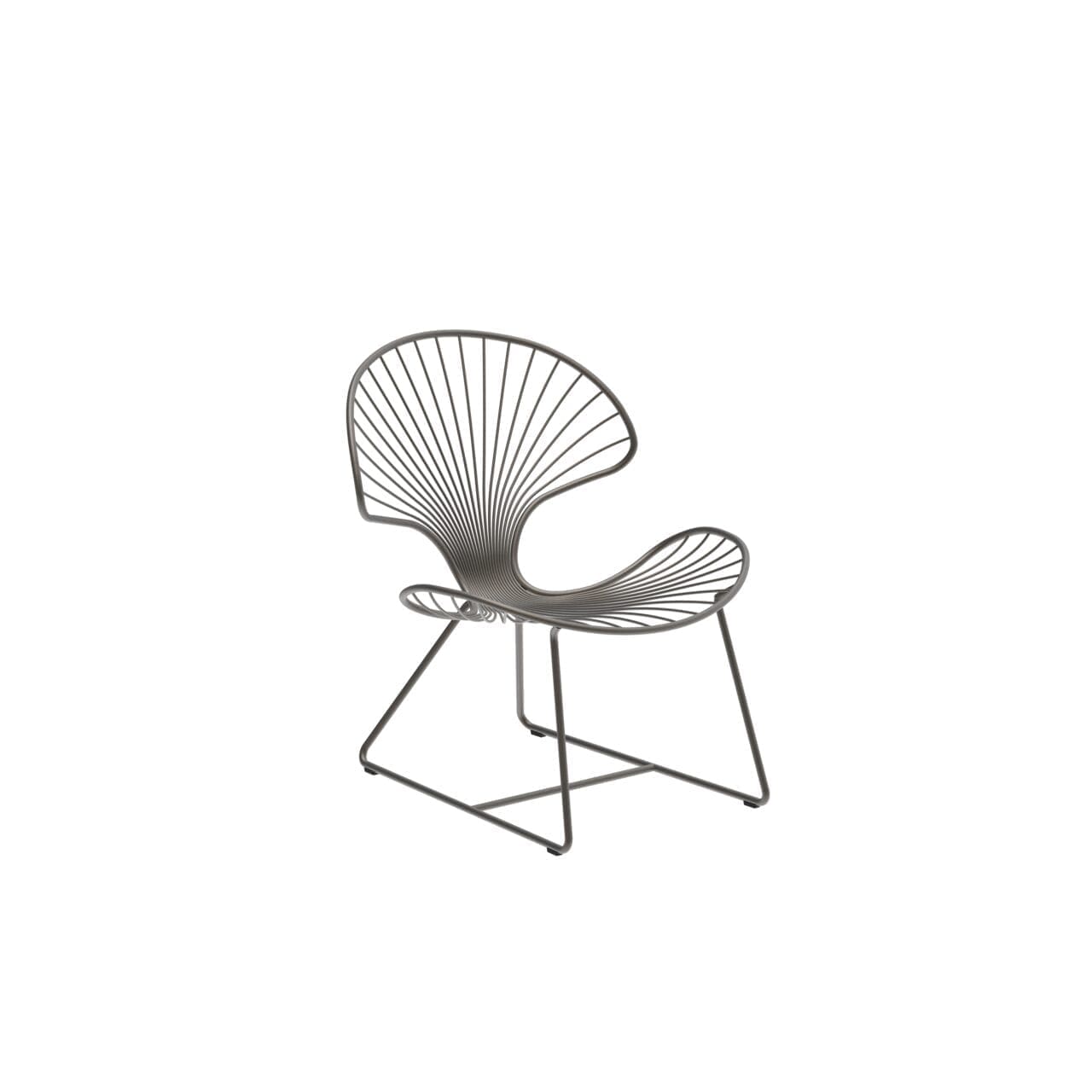 Royal Botania Ostrea 77 Low Chair Royal Botania Ostrea 77 Low Chair