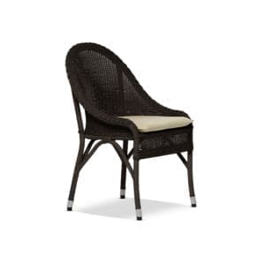 Walters Wicker Water Muse Side Chair