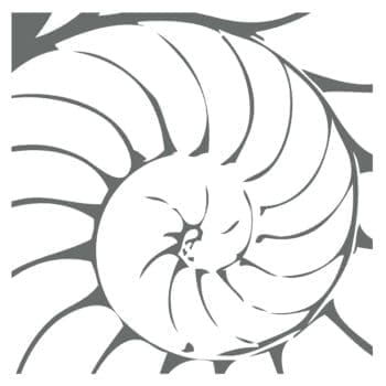 Creative Accents | Organic | Nautilus Rug Creative Accents | Organic | Nautilus Rug