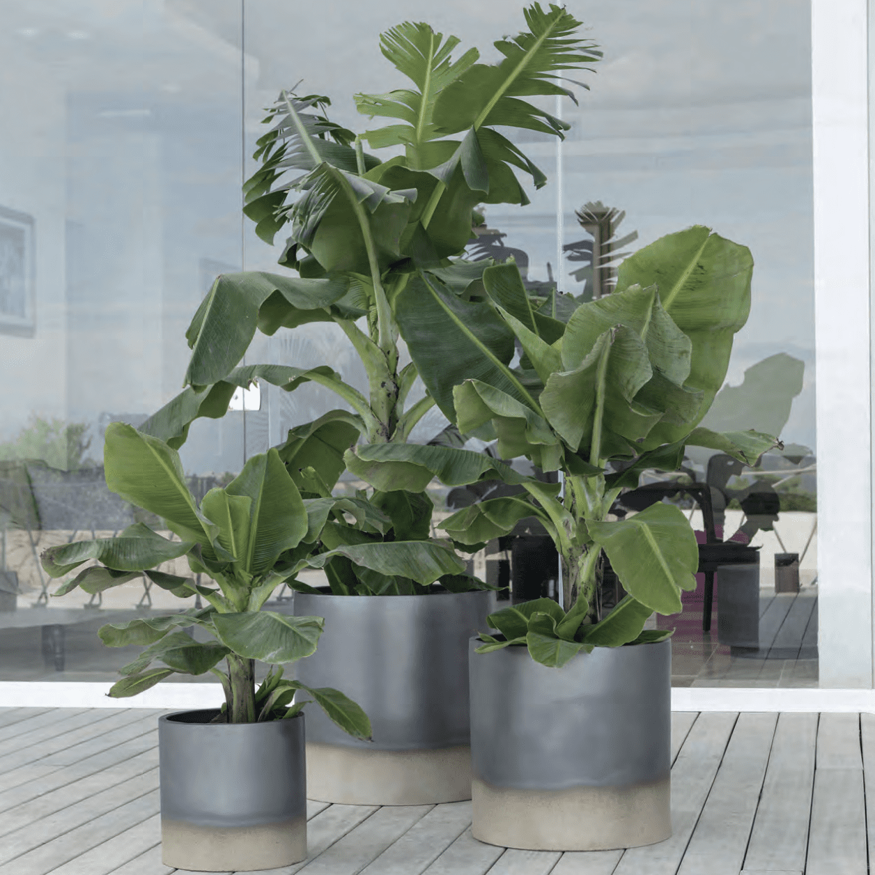 Pot à Porter Palm Beach Pot à Porter Palm Beach