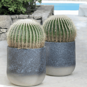 Pot à Porter Porto Cervo