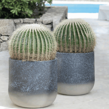 Pot à Porter Porto Cervo Pot à Porter Porto Cervo