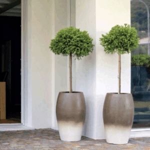 Pot à Porter Lerici