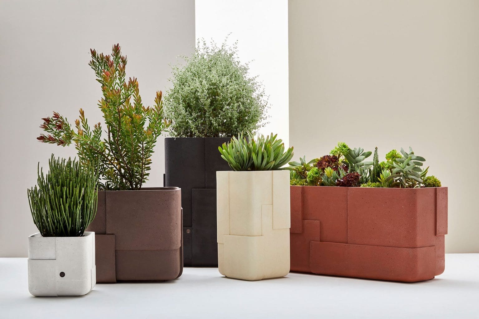 Patton Pool House Project_Indigenus Aarde Planter Patton Pool House Project_Indigenus Aarde Planter