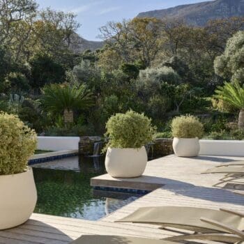 Indigenus Pebble Planter Indigenus Pebble Planter